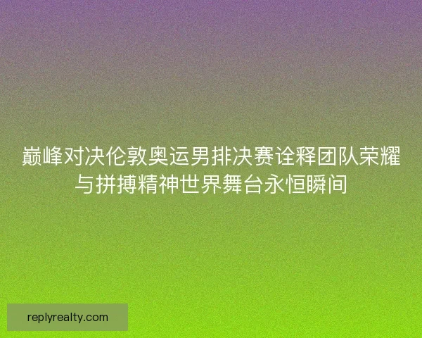 巅峰对决伦敦奥运男排决赛诠释团队荣耀与拼搏精神世界舞台永恒瞬间